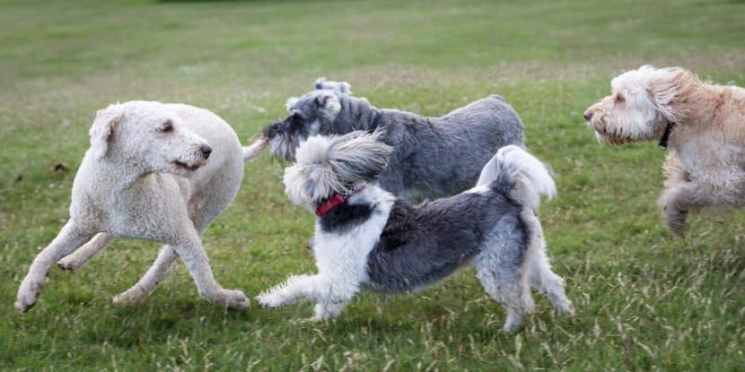 Webinaraufzeichnung „Mobbing erkennen“