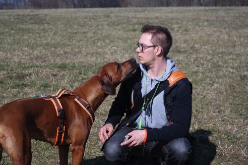 Der Weg zur positiven Verstärkung