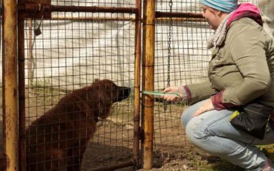 Sanny’s Podcast – Folge 18: Frustration beim Hund