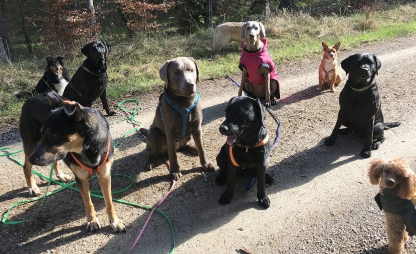 Wie geht’s weiter nach einer Integration?