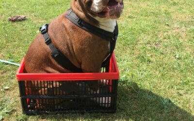 Sanny’s Podcast – Folge 22: Think Outside The Box