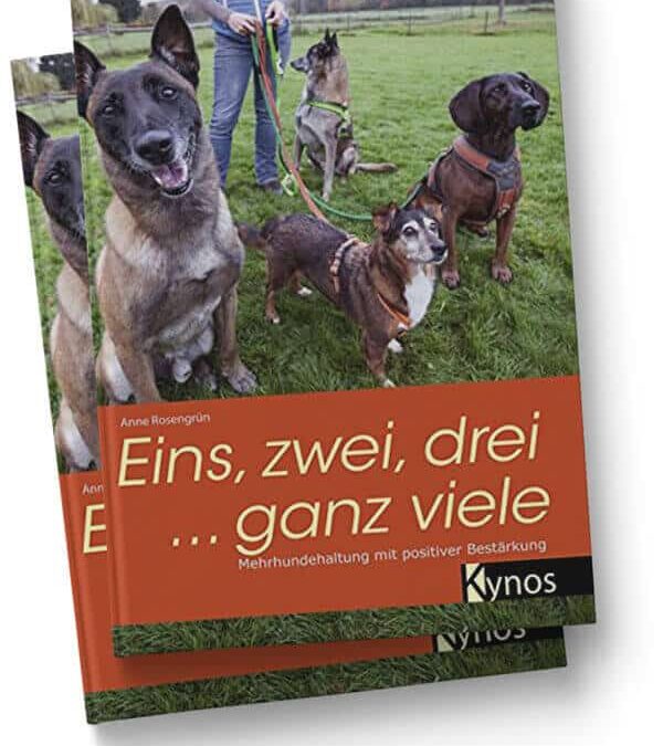 Fragerunde Mehrhundehaltung