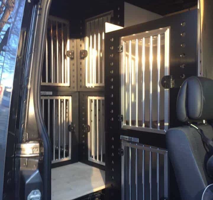 Welche Hundeboxen eignen sich für einen Dogwalker?