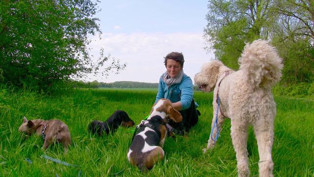 Sachkundelehrgang mit Prüfung §11/8a