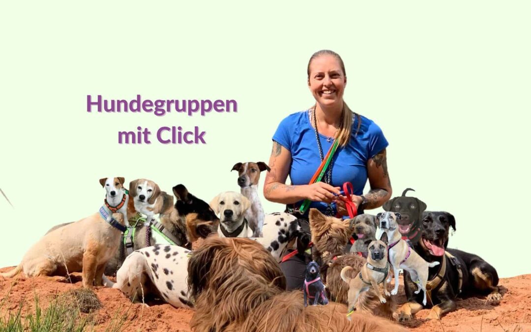 Podcast "Hundegruppen mit Click" Cover