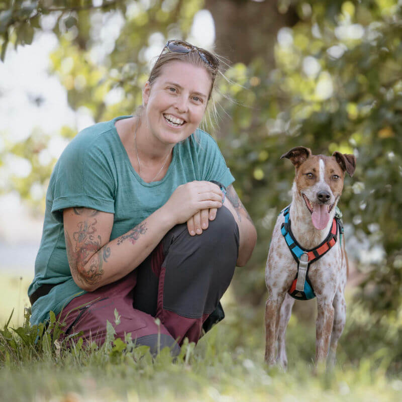 Hund Tagesbetreuung in Nürnberg