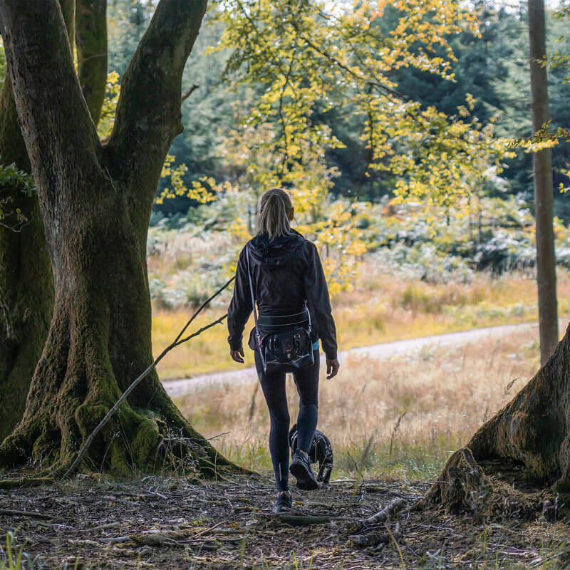 Hundebetreuung in Nürnberg